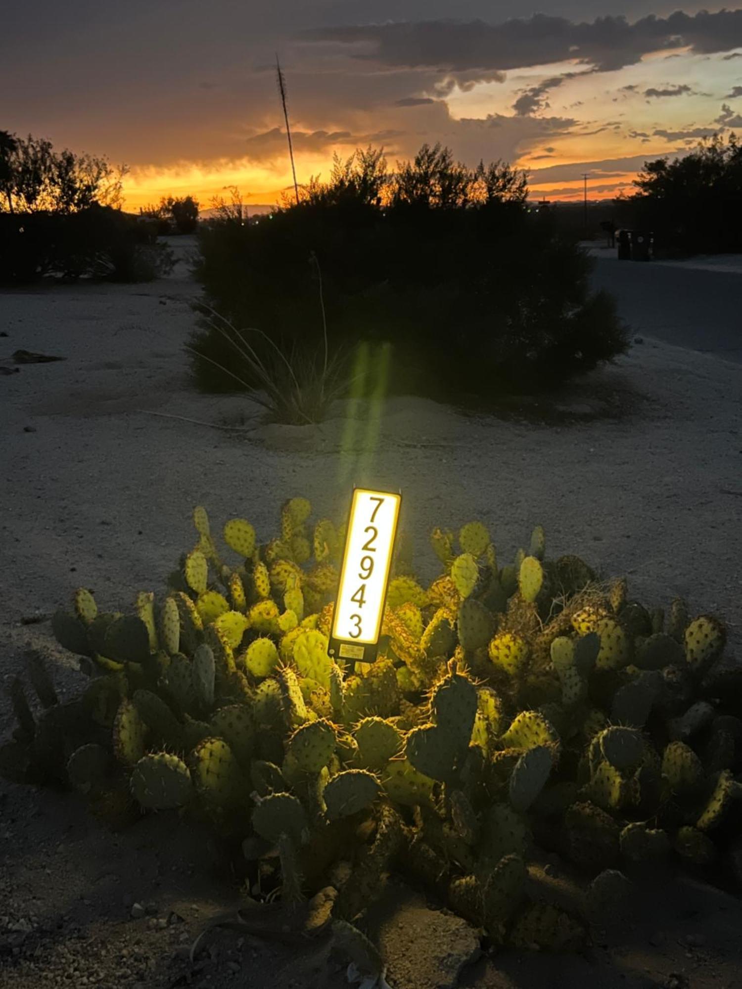 Bodhi House, Joshua Tree National Park Hostel ทเวนตีไนน์พาล์มส์ ภายนอก รูปภาพ